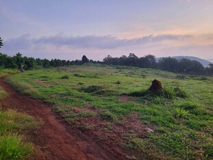 黄昏下的原野与乡间小路
