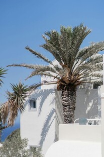 希腊风情的棕榈树与白建筑