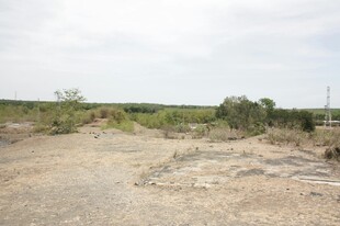 荒野中的开阔土地