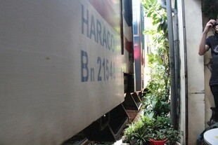 墙边猫咪好奇张望