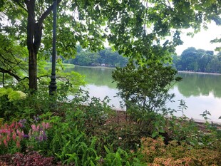 湖畔绿树繁花自然景致