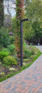 蜿蜒砖径旁的绿植景观