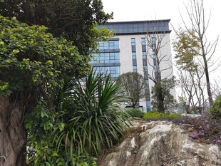 绿植环绕的现代建筑