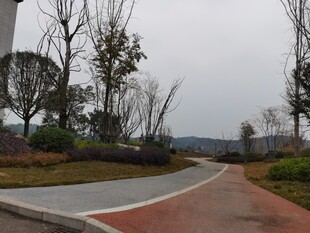 乡村柏油小路风景