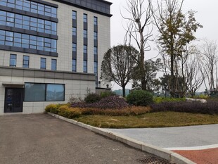 现代建筑旁的绿化景观