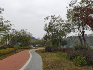 公园彩色步道风景