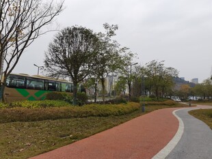 城市公园中的多彩步道