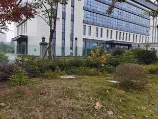 现代建筑旁的绿植景观