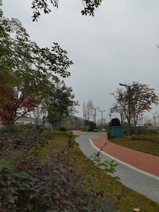 郊外蜿蜒多彩步道景观