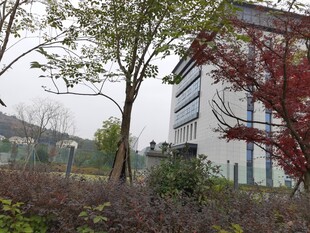 现代建筑旁的绿植景观