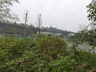 郊外绿植环绕的远景风光