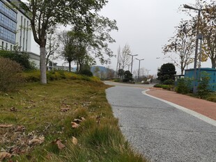 城市中的宁静小路