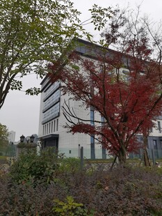 红树旁的现代建筑景观