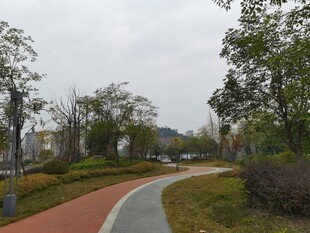 城市公园蜿蜒彩色步道