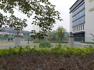 现代建筑旁的绿植景观