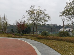 秋日公园彩色步道风景