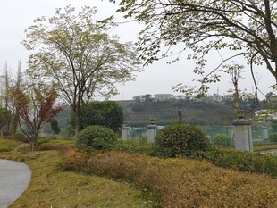 公园内的绿植与蜿蜒小路