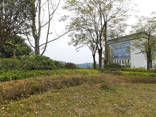 乡村田野旁的建筑景观