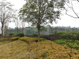 乡村田野风光景色