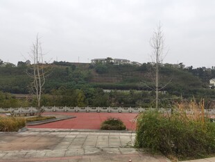 户外开阔景观场地