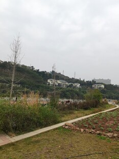 乡村田野自然风光图景