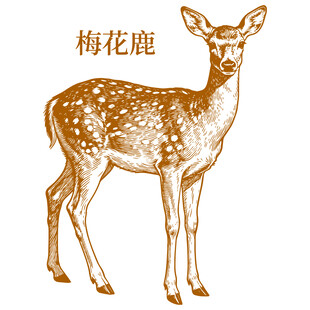 手绘梅花鹿图案