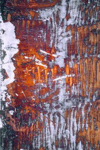 斑驳旧木纹理特写