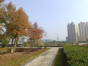 秋日城市公园景观小道