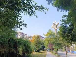 绿树环绕的宁静户外场景