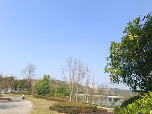 户外清新自然风景画面