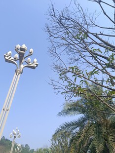 户外路灯与绿植景观