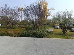 户外园林景观一角