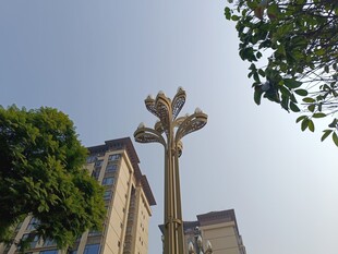 城市中独特造型的路灯