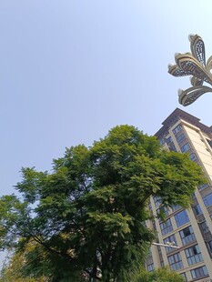 城市中独特造型的建筑雕塑