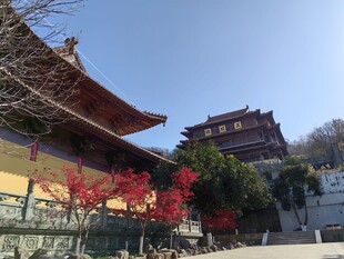 古寺红枫映蓝天