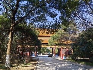 古雅牌坊隐于葱郁林间