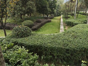 精致园林绿植景观