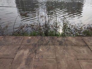 水边石板与水中倒影