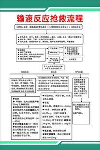 输液反应抢救流程图