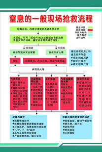 窒息的一般现场抢救流程示意图