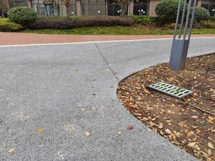 路边树基处的金属格栅