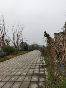 乡间石板路萧瑟冬日景象