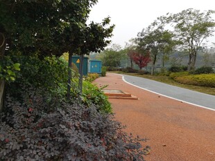 户外休闲的彩色步道景观