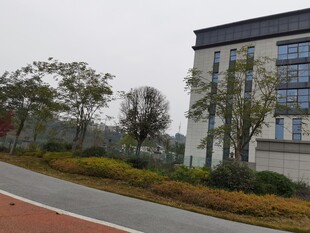 校园旁的建筑与道路景观