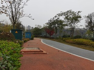 城市中的宁静休闲步道