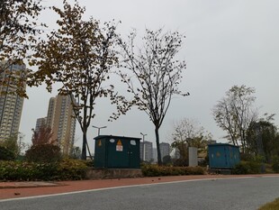 户外道路旁的树木与设施