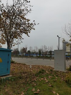 户外蓝箱旁树木与草地景象