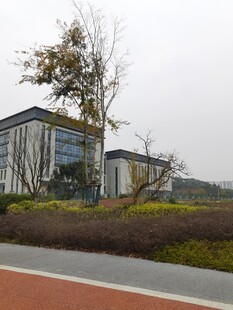 现代建筑旁的绿化景观