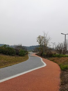 蜿蜒多彩的户外骑行小路