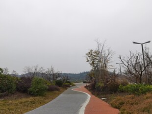 乡村蜿蜒小路风景
